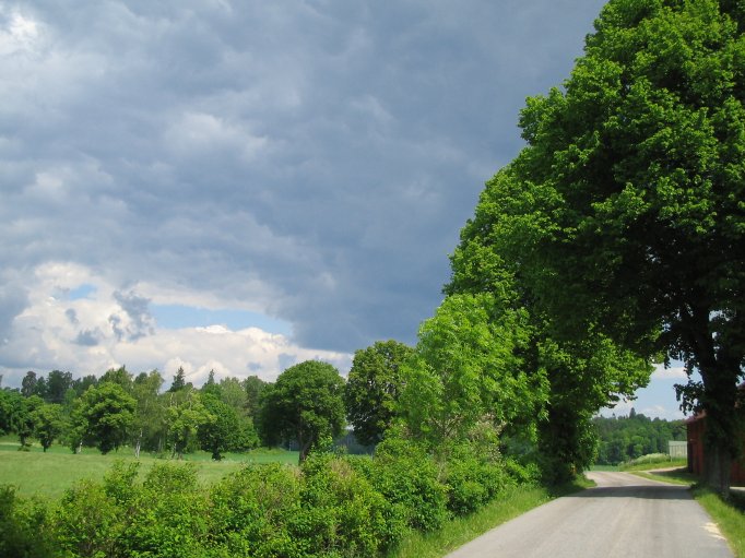 Foto: Andreas Rejbrand