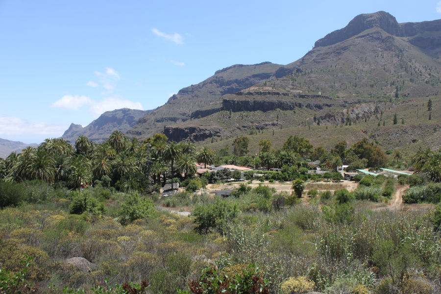 Gran Canaria; Foto: Andreas Rejbrand