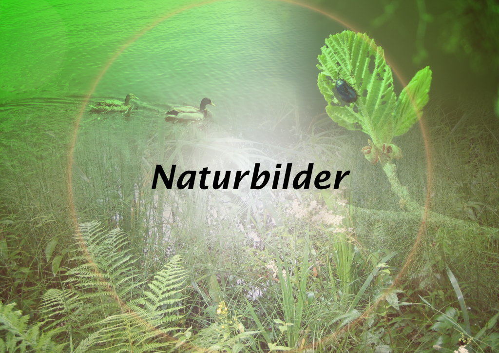 Naturbilder