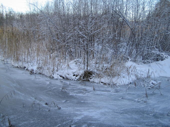 Skogsstig på vintern 1; Foto: Andreas Rejbrand