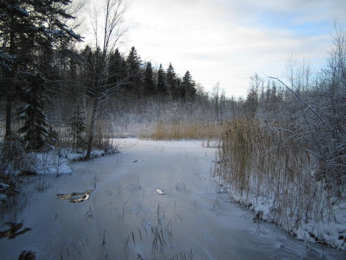 Skogsstig på vintern 2; Foto: Andreas Rejbrand